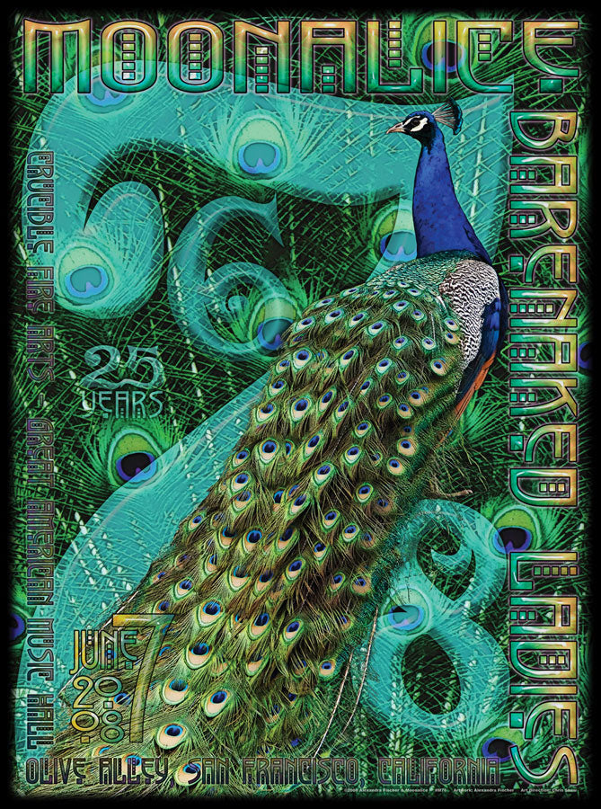 2008-06-07 Moonalice